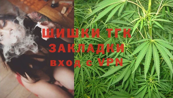 мескалин Ельня