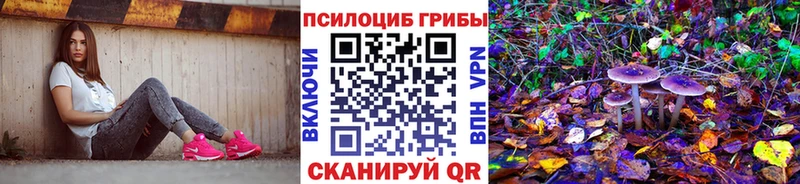 МЕГА как зайти  как найти закладки  Лесозаводск  мориарти наркотические препараты  Псилоцибиновые грибы прущие грибы 